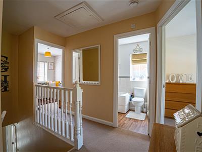 Picture 15